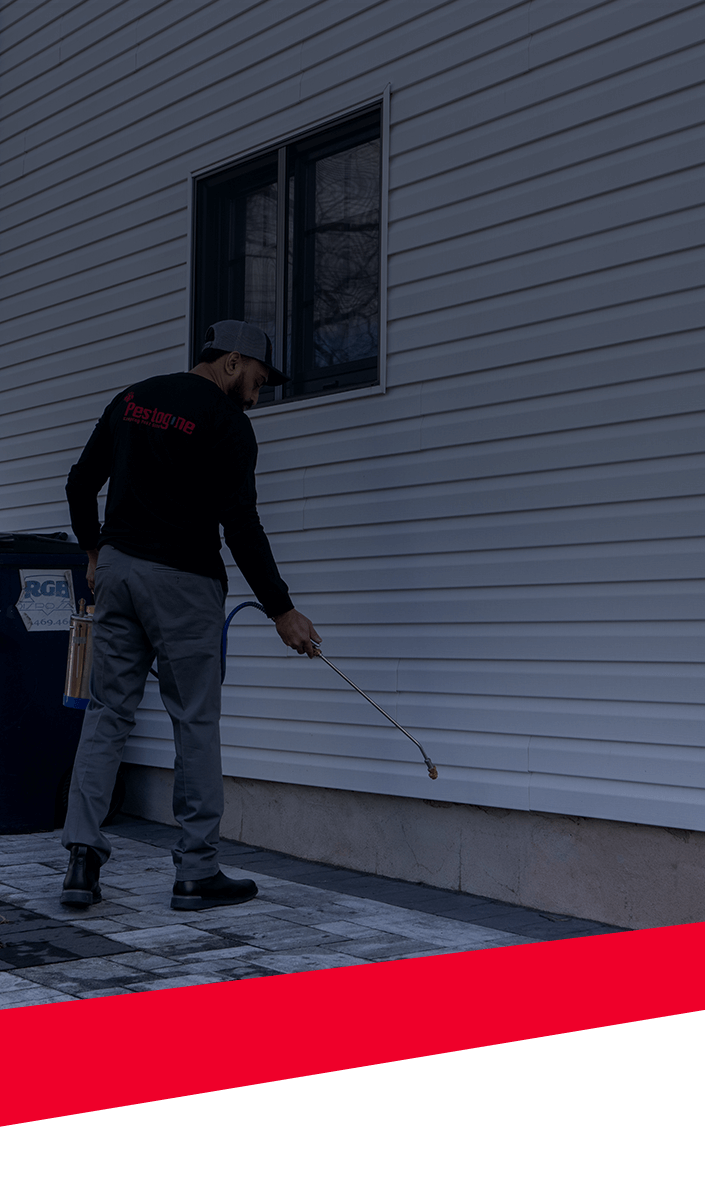 Household Pest Control